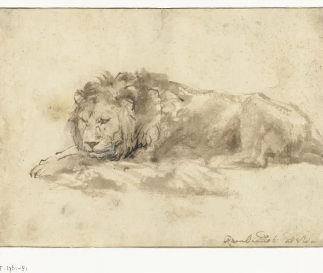 Reclining Lion